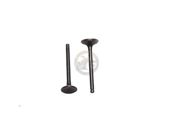 Клапаны (пара, в сборе) 4T GY6 80 (L-66mm)  G-393